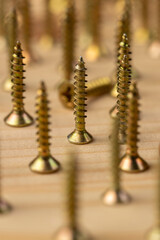 yellow metal self-tapping screws for fixing wooden boards and other wood products