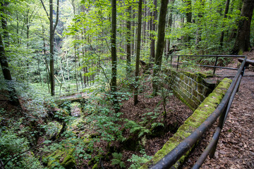 Wanderweg im Elbsandsteingebirge