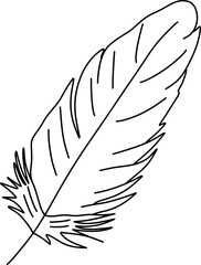 Obraz premium feather