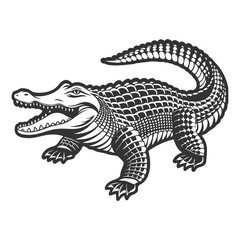 Crocodile Vector Art and Illustration