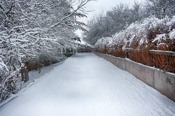 Helsinki Winter