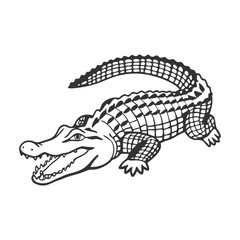 Crocodile Vector Art and Illustration