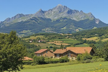 Mountain valley during sunset. Natural summer mountain landscape. Forest and mountans. Mountain-image... Beautiful simple AI generated image
