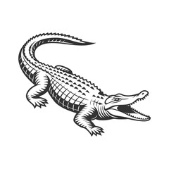 Crocodile Vector Art and Illustration