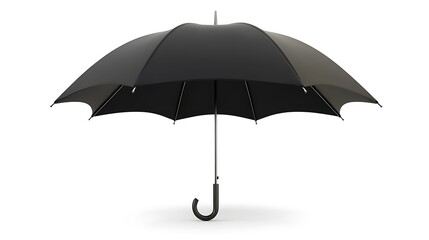 A black umbrella against a white background.