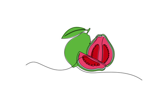 recommend clip art: Single continuous line drawing whole and half sliced healthy organic java guava for orchard logo identity, Single one line drawing fruits concept. Continuous line draw design vector illustration.