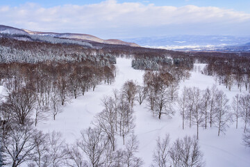 Snow field in niseko for ski resourt , winter travel in Japan