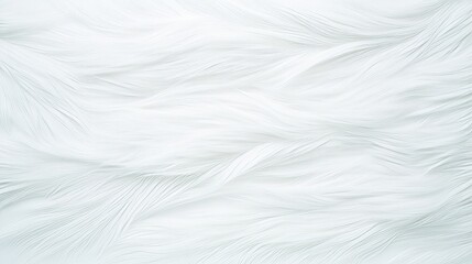 Obraz premium Soft White Fur Texture Background Image (33)