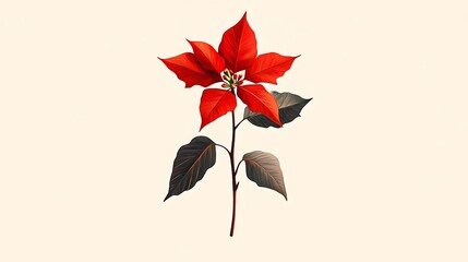 Red poinsettia on beige background.