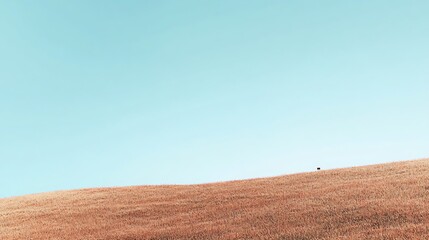 Fototapeta premium Rolling hill and light blue sky.