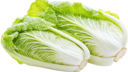 Fresh Green Napa Cabbage for Healthy Cooking