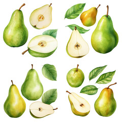 Pear watercolor set. Transparent background. Can be used for postcards, stickers, encyclopedias, menus, ingredients of dishes.