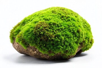 Mossy Rock, Green Moss Stone, Isolated Rock, High Depth of Field, Nature Photography,  Cutout Rock, PNG Background,  Die Cut Rock Image