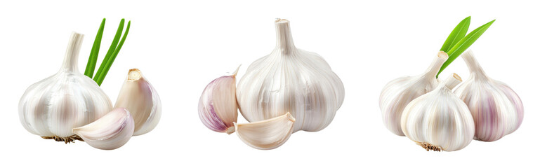 Obraz premium Fresh garlic bulbs and cloves with green shoots