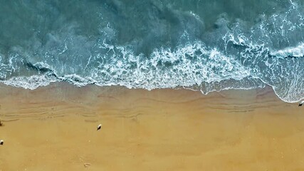 Aerial view of ocean waves and sandy beach with seagulls, A serene aerial view capturing gentle ocean waves washing onto a golden sandy beach with a few seagulls scattered along the shore.