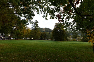 path in the park