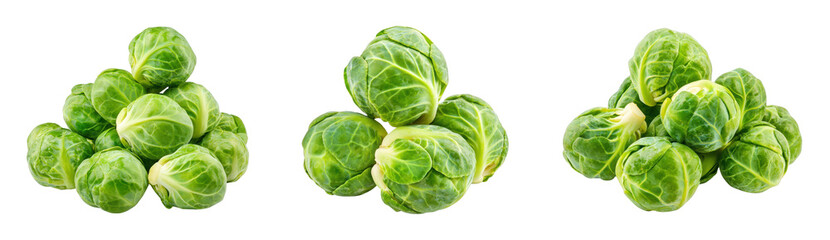Obraz premium Fresh Brussels sprouts arranged in clusters