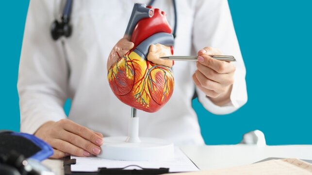 A doctor works at a desk in the hospital,discussing heart diseases such as coronary artery disease,arrhythmia,heart valve stenosis,heart failure congenital heart disease, emphasizing Coronary artery d