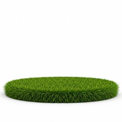 green grass isolated on white