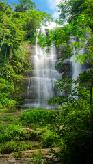 waterfall in the forest