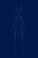 Wireframe low poly humanoid dragonfly. The line beetle stands on two legs. Front view. Vector illustration