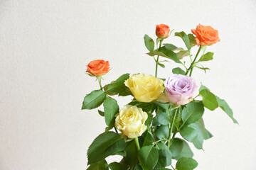 Obraz premium カラフルな薔薇