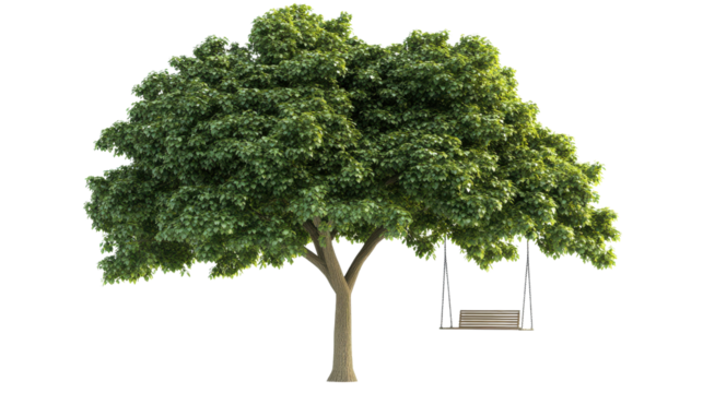 Lush Green Tree with Wooden Swing in Bright Summer Daylight