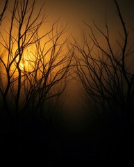 Obraz premium Sunset in the Haunted Woods 