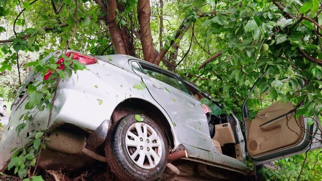 Car Perched on Tree in Forest Accident Scene