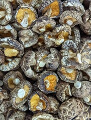 Close up dried mushroom 
