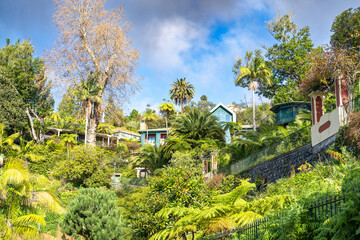 Charming Houses on a Green Hillside Under a Blue Sky, Funchal, Madeira