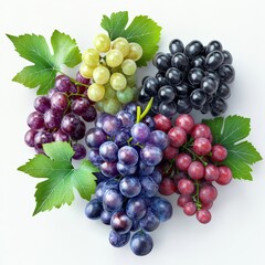 Fototapeta premium Close-up 3D rendering of various types of grapes with rich, realistic color and texture details, set on a white backdrop with soft shadowing