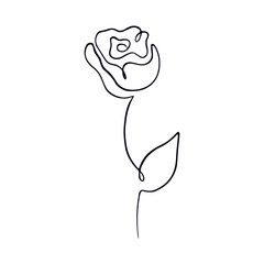 Minimalist Line Art Flower Illustration