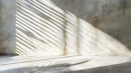 Sunlight casts shadows on textured wall.