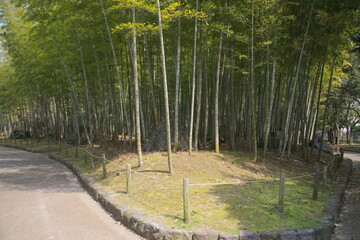 別府市　別府公園