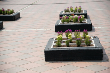 別府市　別府公園