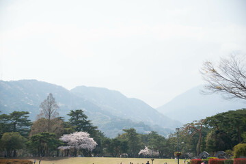 別府市　別府公園
