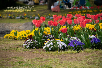 別府市　別府公園
