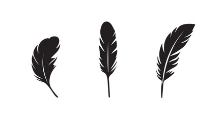 A set of feather icons silhouette on white background © Ataur