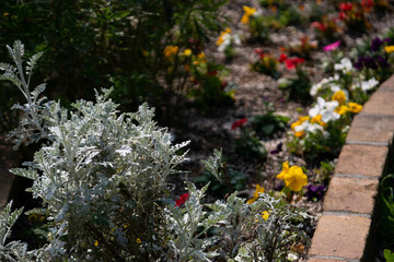 別府市　別府公園