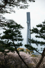 別府市　別府公園