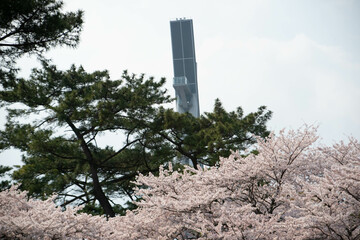 別府市　別府公園