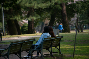 別府市　別府公園