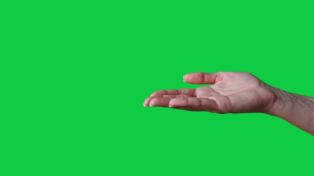 Close up side view of beautiful outstretched female hand isolated on green screen chroma key background. Woman holding empty open flat palm showing something virtual and invisible. Give and take