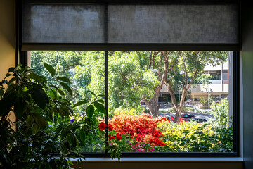 A view through a window showcasing vibrant flowers and greenery.
