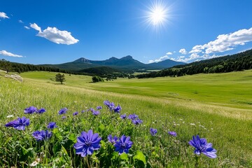 Obraz premium A spring meadow filled with wildflowers of every color, swaying gently in the breeze under a bright sun