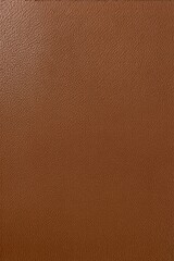 Fototapeta premium brown leather texture with a slight pattern