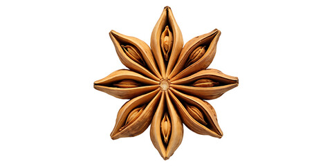 A png design asset of a star anise isolated on a white background