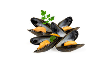 cinq moules cuites avec coquille sur fond blanc