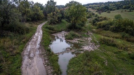 Fototapeta premium Aerial view of muddy rural road with puddles, winding through green landscape.